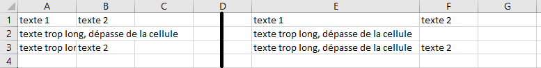 image Excel de saisie de texte