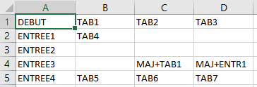 image Excel de saisie avec les touches TAB et ENTREE