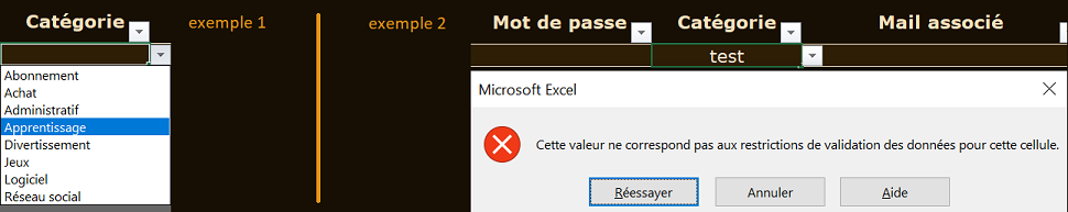 image Excel d'exemple de saisie avec l'option validation des données